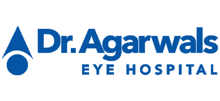 SEO company in Chennai