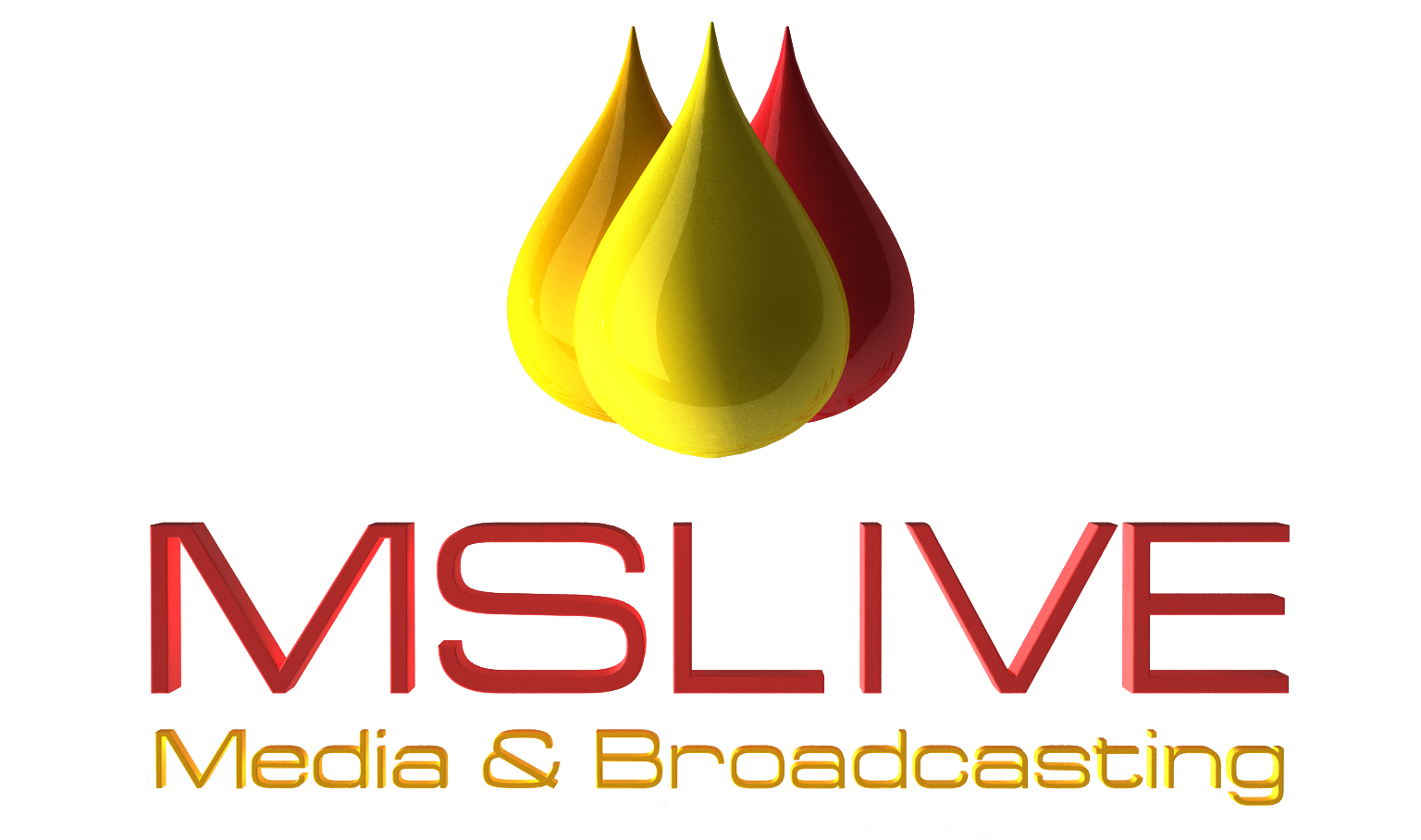 Mslive Technologies | Blogs