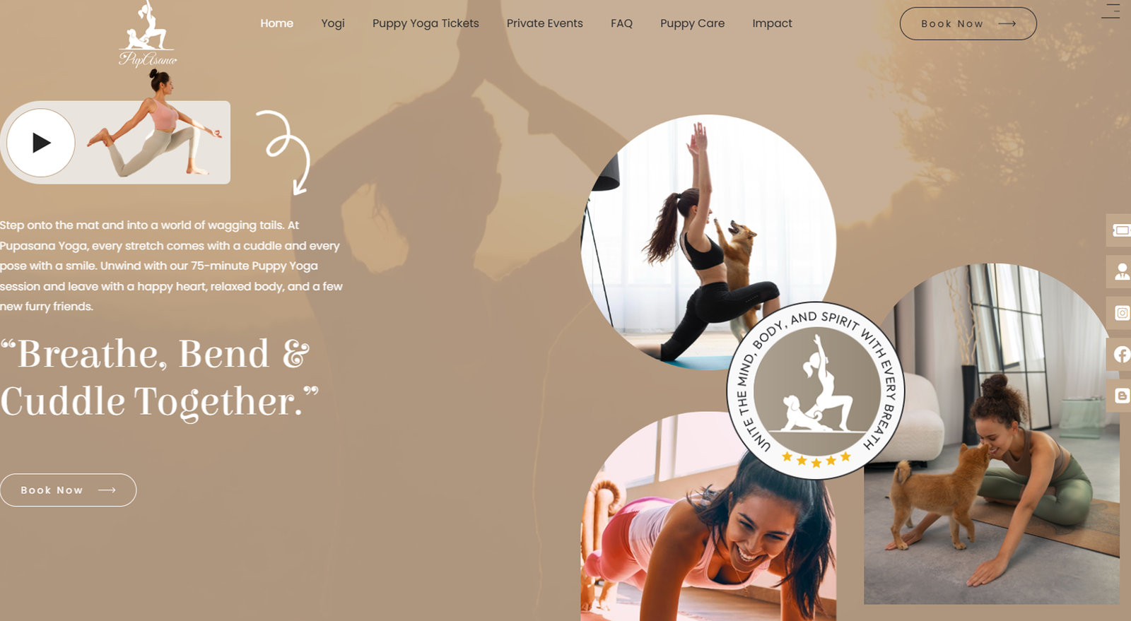 Pup Asana Yoga Website Design by MSLive Technologies
